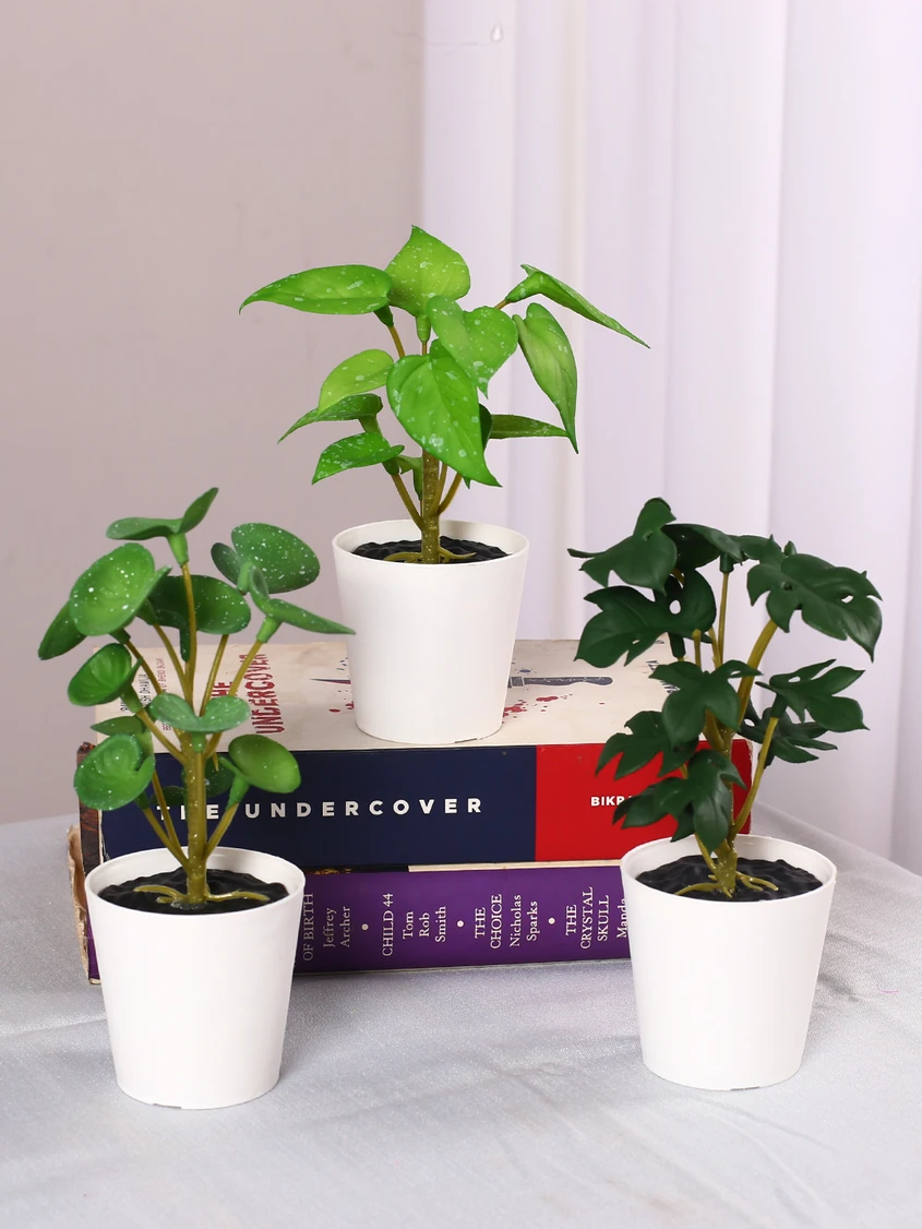 Home Bloom Wild Artificial Plant with Pot (14 cm, Green)